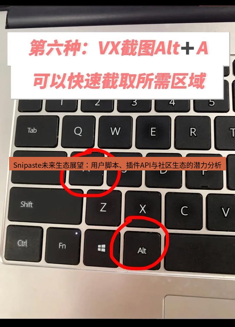 Snipaste未来生态展望：用户脚本、插件API与社区生态的潜力分析