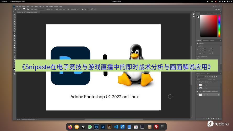 《Snipaste在电子竞技与游戏直播中的即时战术分析与画面解说应用》