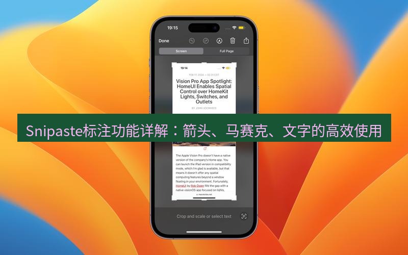 截图工具 Snipaste标注功能详解：箭头、马赛克、文字的高效使用