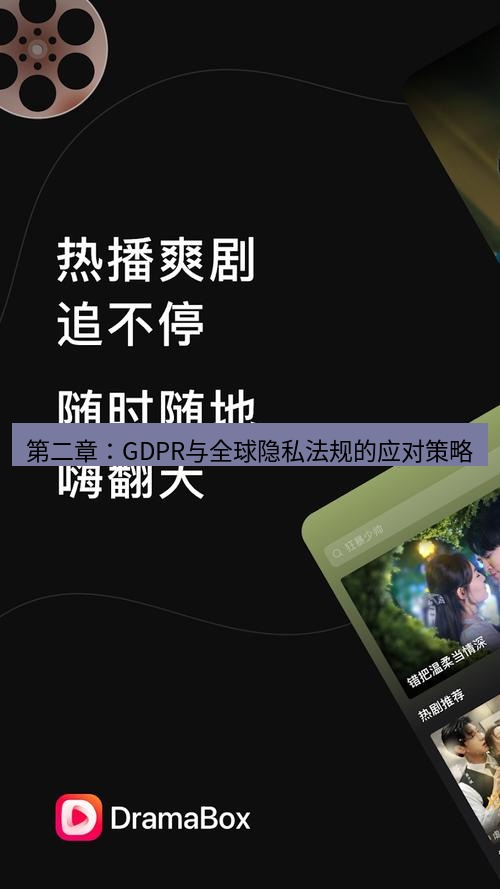 截图软件 第二章：GDPR与全球隐私法规的应对策略