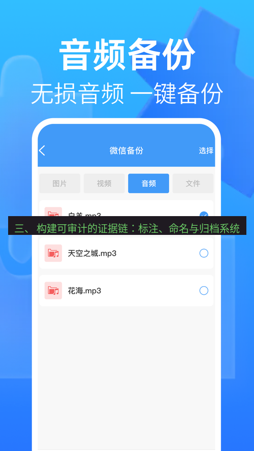 截图软件 三、 构建可审计的证据链：标注、命名与归档系统