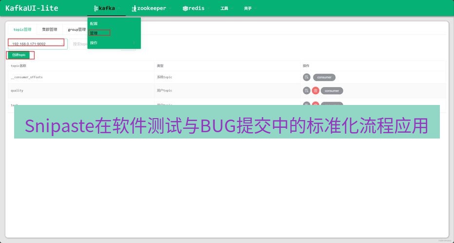 Snipaste在软件测试与BUG提交中的标准化流程应用