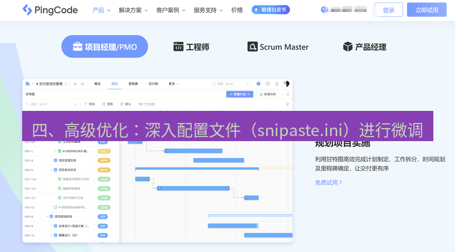 截图工具 四、高级优化：深入配置文件（snipaste.ini）进行微调