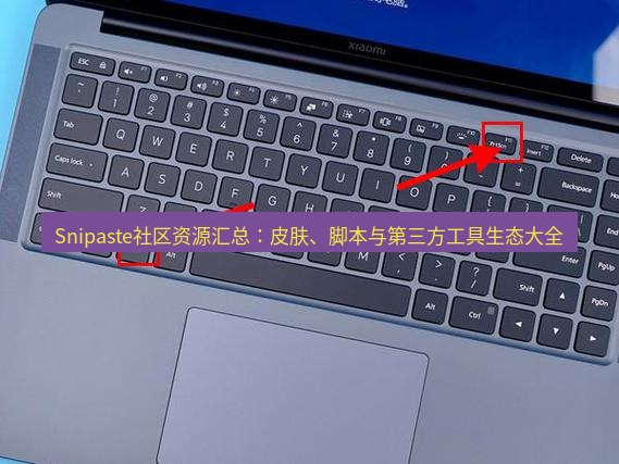 Snipaste社区资源汇总：皮肤、脚本与第三方工具生态大全