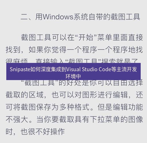 Snipaste如何深度集成到Visual Studio Code等主流开发环境中