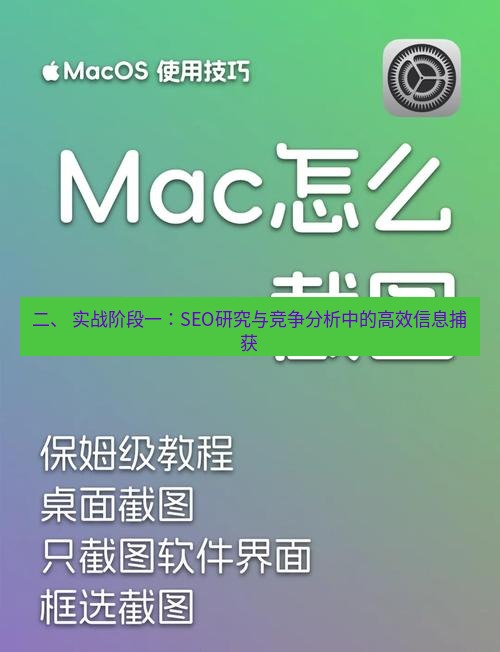 截图工具 二、 实战阶段一：SEO研究与竞争分析中的高效信息捕获